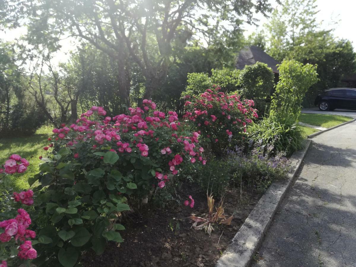 Guesthouse Sebalj Rakovica Kültér fotó